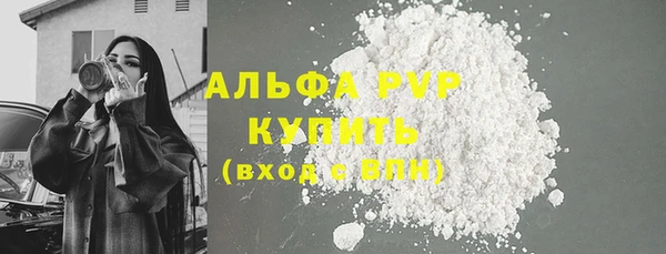 ECSTASY Дмитриев